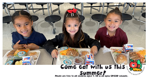 Summer School Flyer